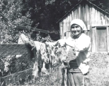 Wool Preparation