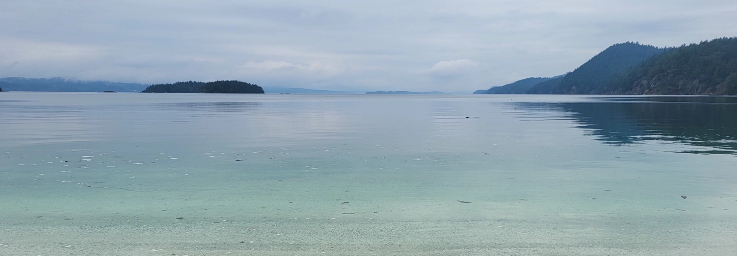 Ocean